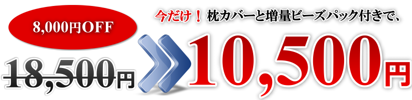 今だけ、枕カバーと増量ビーズパックが付いて、10,500円